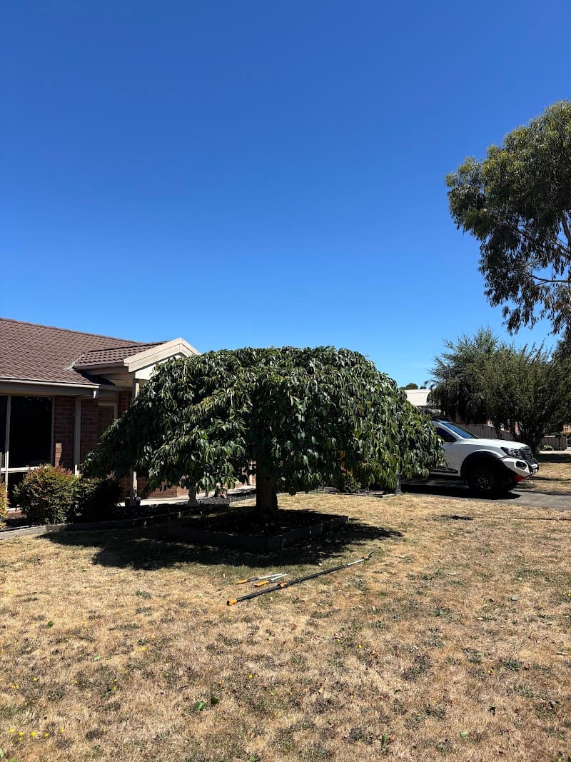 Goldfields Environmental tree services work in Redan