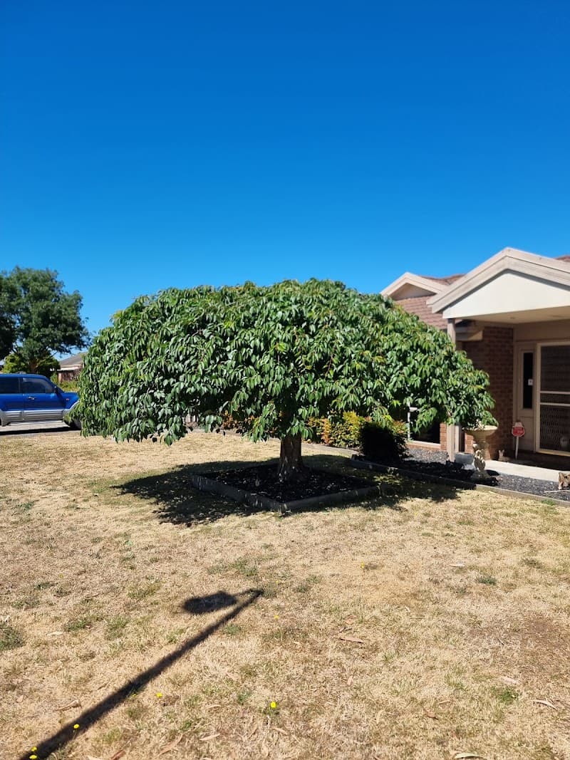 Goldfields Environmental tree services work in Redan