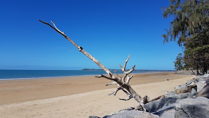 Gotta Go Transport removalist work in Mackay