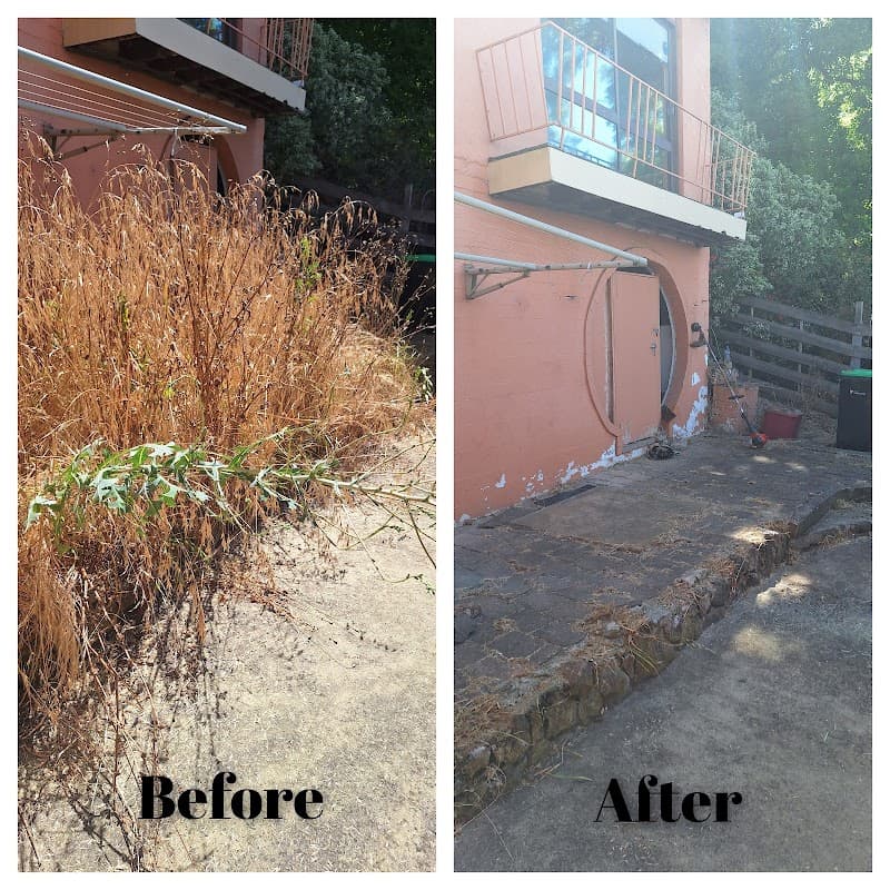 Grass & Glory - Lawn and Property Maintenance lawn care work in Railton