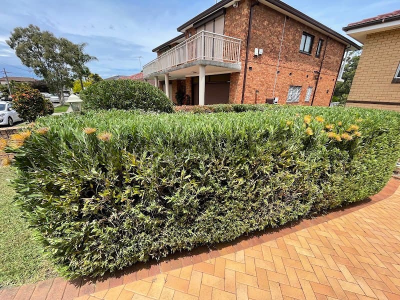 Grass Roots Central Coast gardening work in Umina Beach