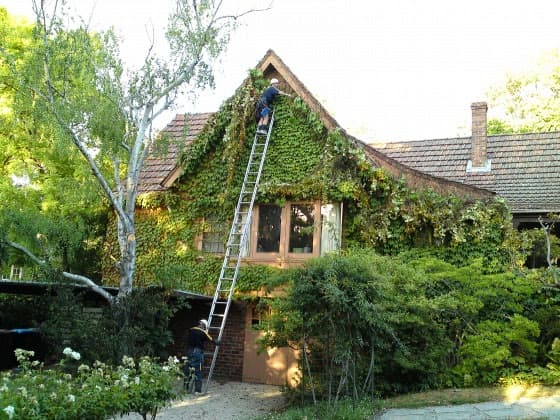Grayson's Gutter Cleaning gutter cleaning work in Box Hill North