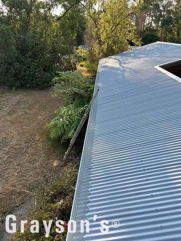 Grayson's Gutter Guard Geelong gutter cleaning work in Armstrong Creek