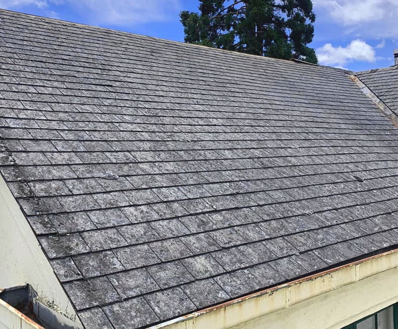 Greater Sydney Asbestos Removal asbestos removal work in Punchbowl