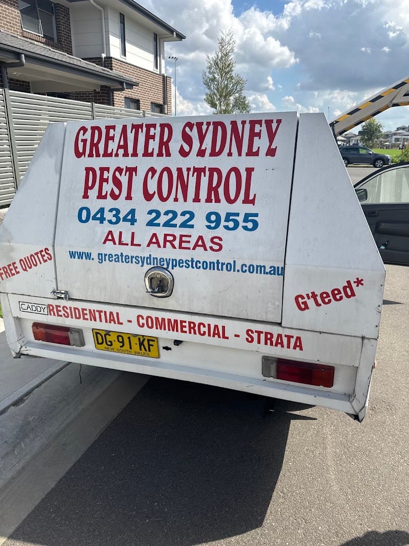 Greater Sydney Pest Control pest control work in Auburn