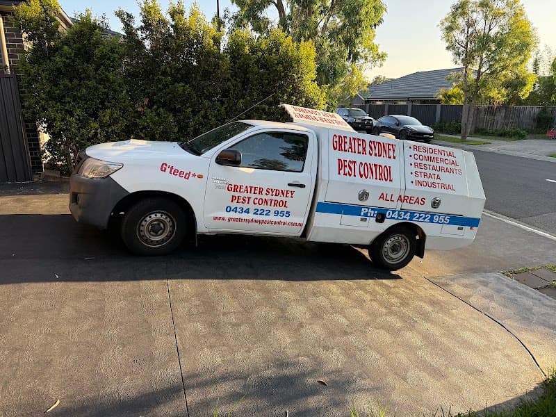 Greater Sydney Pest Control pest control work in Auburn