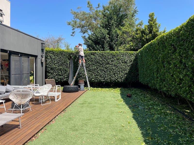 Green & Clean | Hedge Trimming - Gardening - Tree Services gardening work in Carnegie