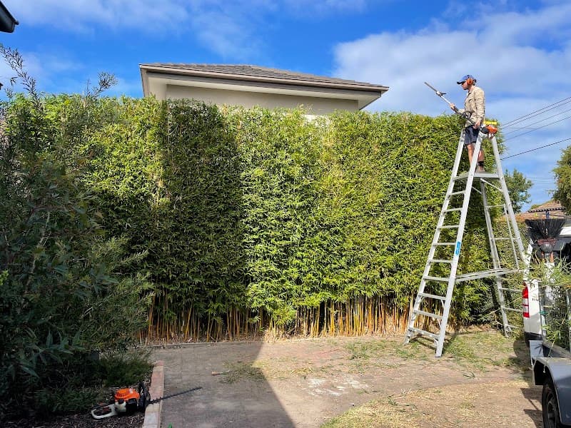 Green & Clean | Hedge Trimming - Gardening - Tree Services gardening work in Carnegie