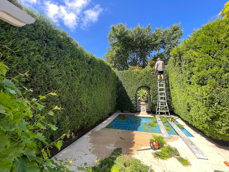 Green & Clean | Hedge Trimming - Gardening - Tree Services gardening work in Carnegie