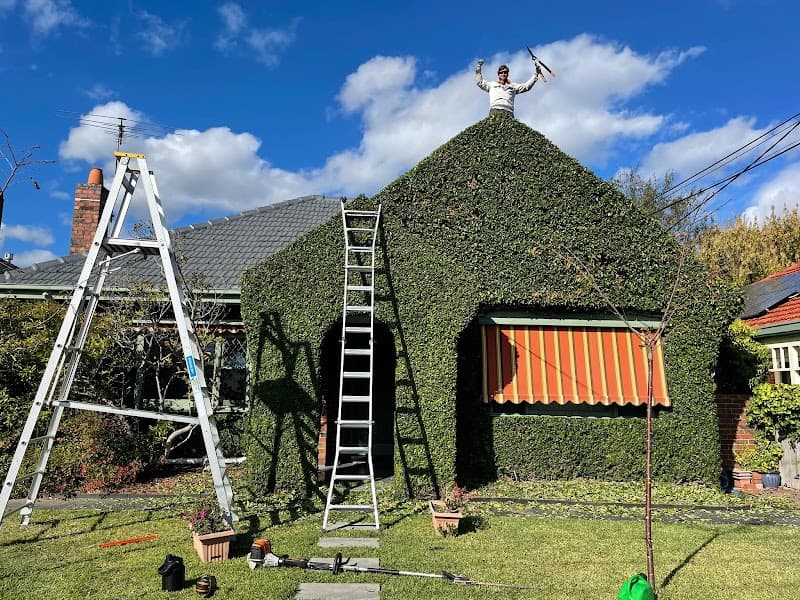 Green & Clean | Hedge Trimming - Gardening - Tree Services gardening work in Carnegie