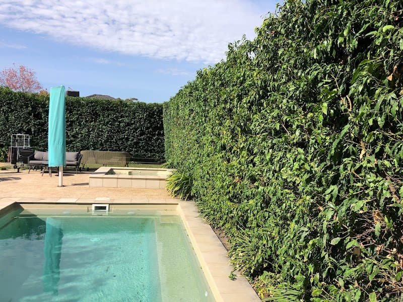 Green Bliss Gardens & Lawn Mowing lawn care work in Greensborough