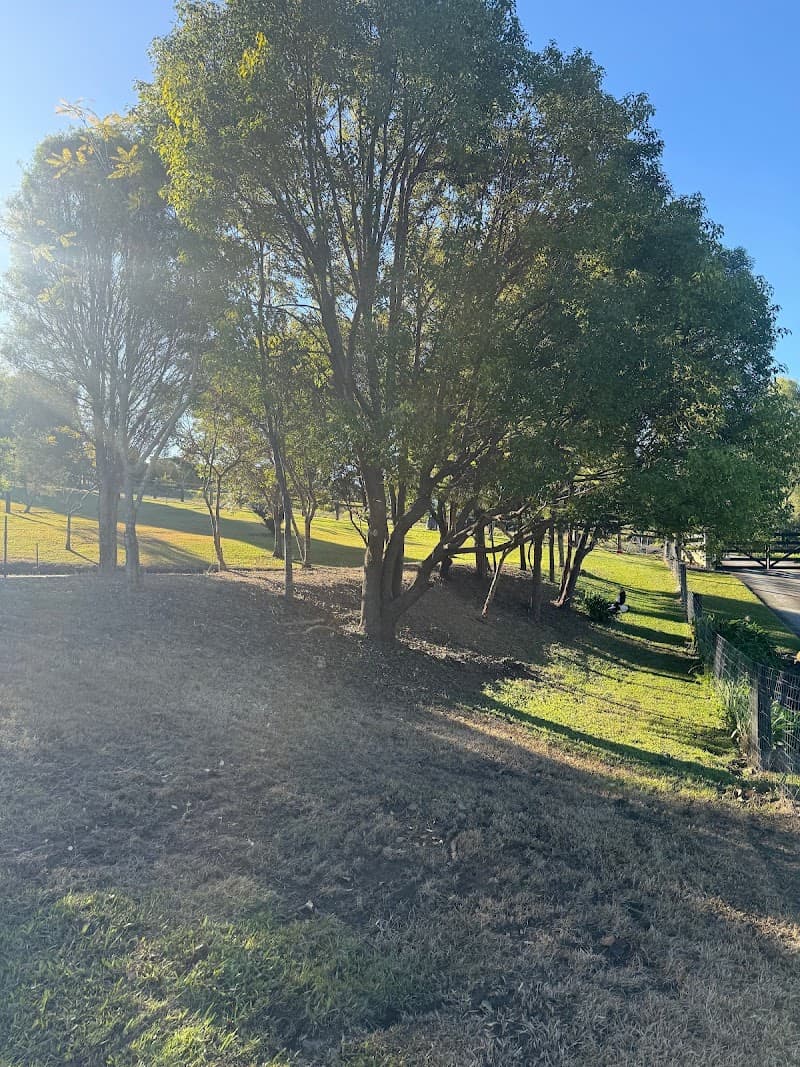 Green Bull Gardens landscaping work in Molendinar