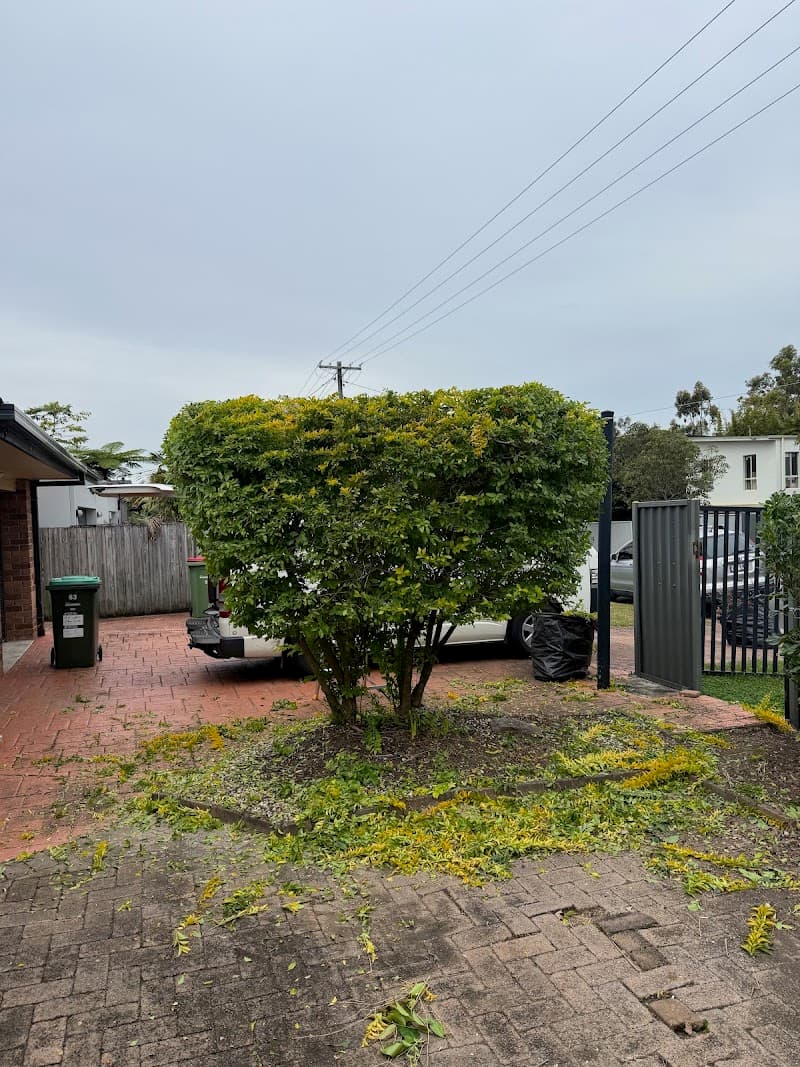 Green Bull Gardens landscaping work in Molendinar
