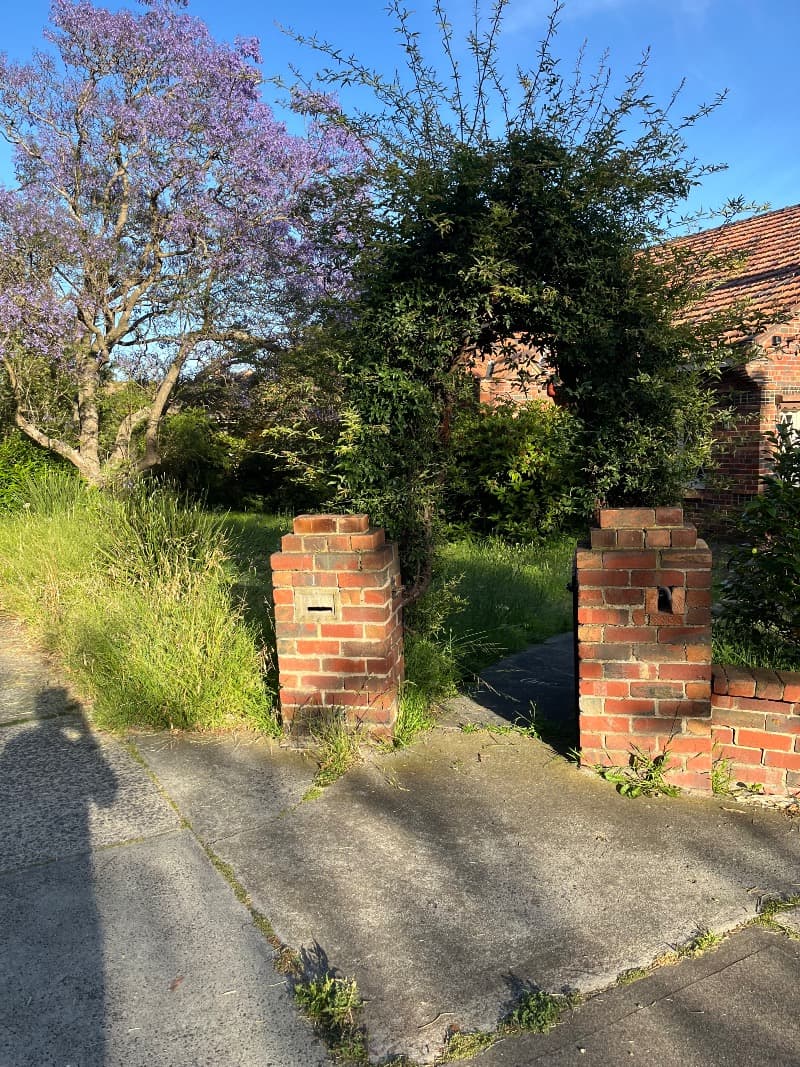 Green Edge Garden Care lawn care work in Camberwell