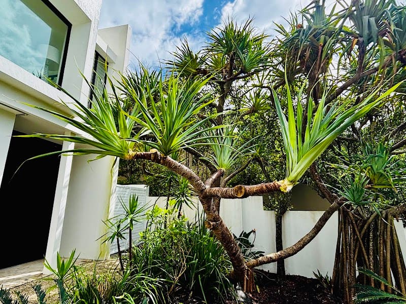 Green Empire Lawn Care lawn care work in Wurtulla