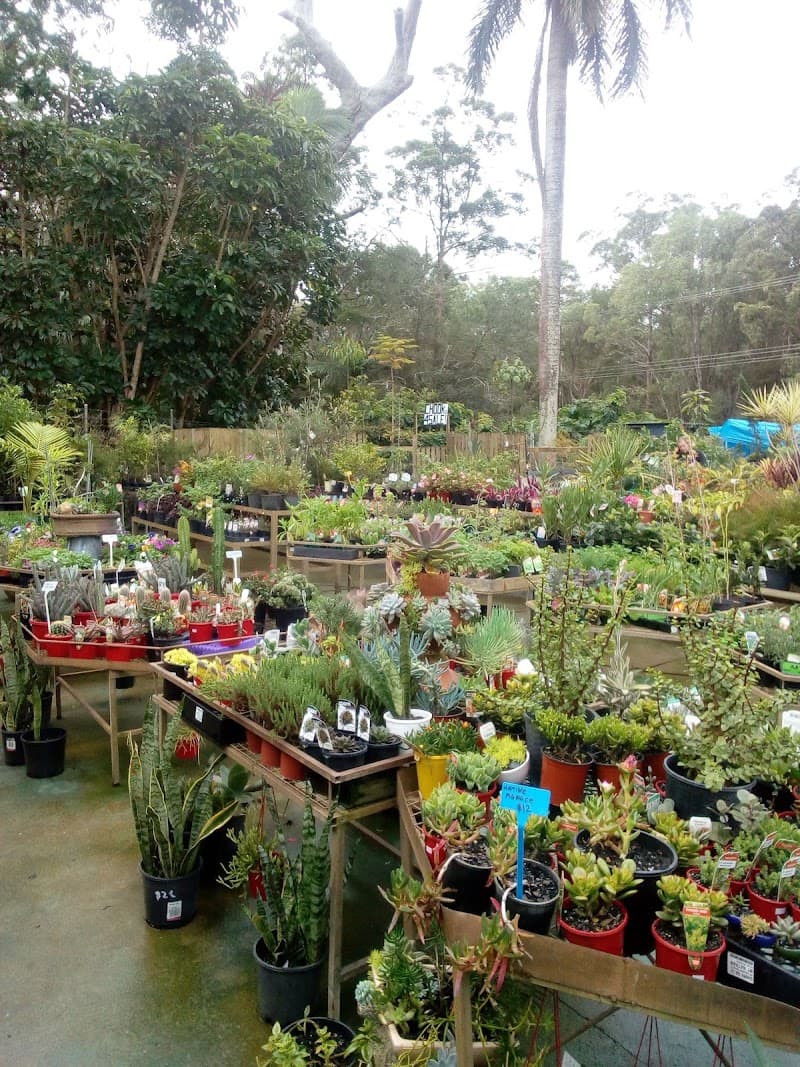 Green Life Gardens landscaping work in Maroochydore