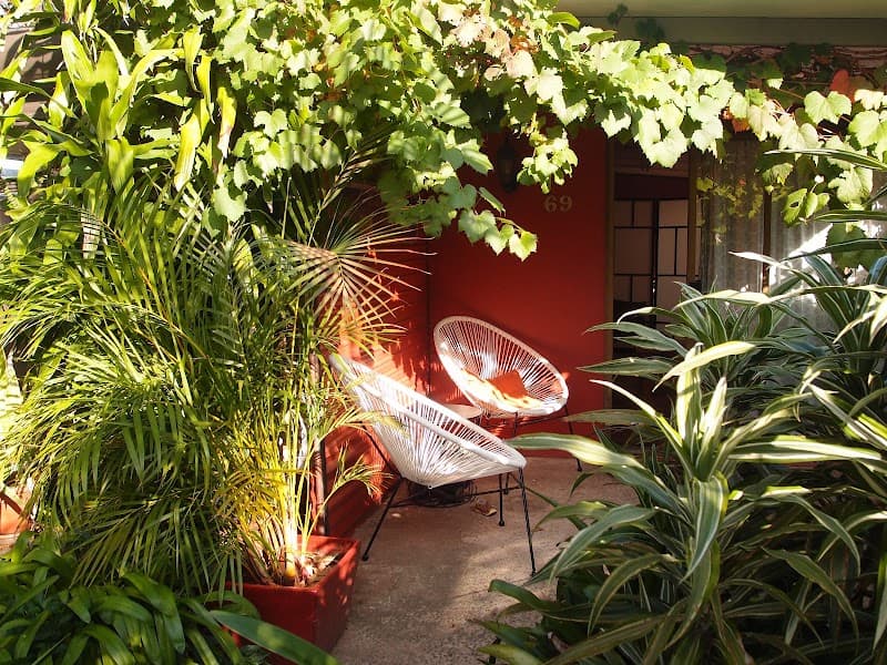 Green Mouse Landscape Architecture gardening work in Newcastle