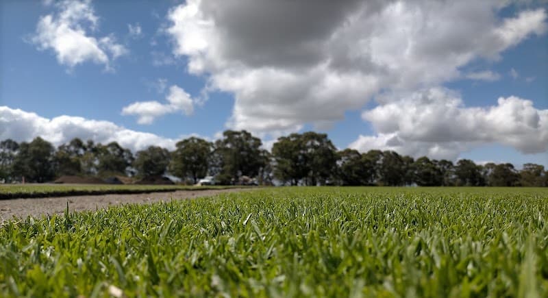 Greenacres Turf Group Bunbury gardening work in Davenport