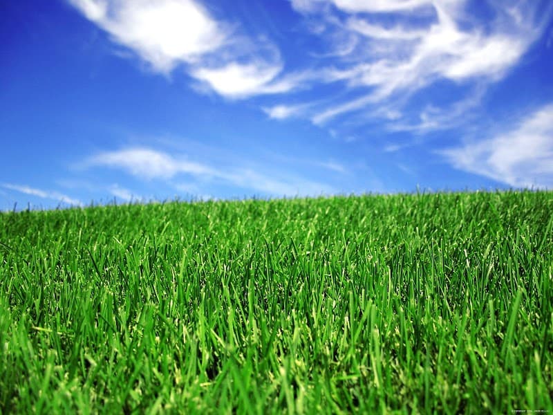 Greener Days Lawn and Garden Care landscaping work in Redland Bay