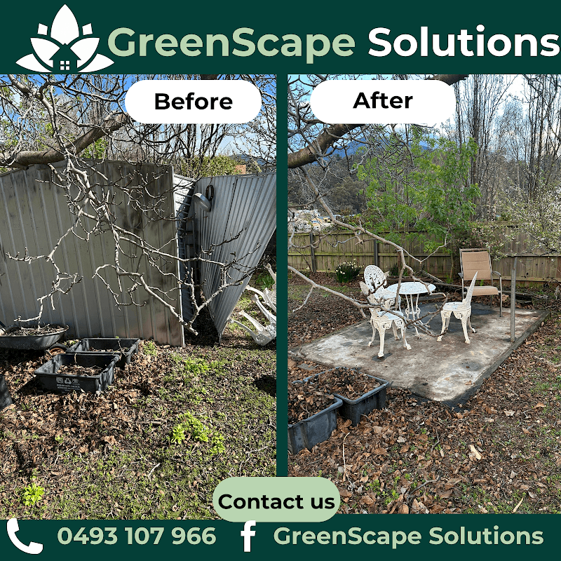 Greenscape Solutions lawn care work in Mount Stuart
