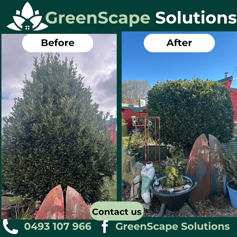 Greenscape Solutions lawn care work in Mount Stuart