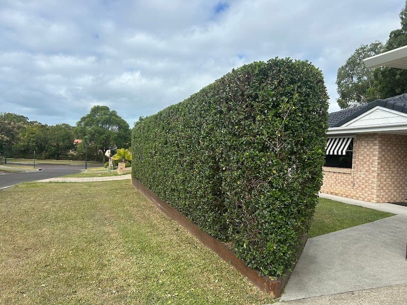 Greenwood Gardens and Mowing lawn care work in Alexandra Hills