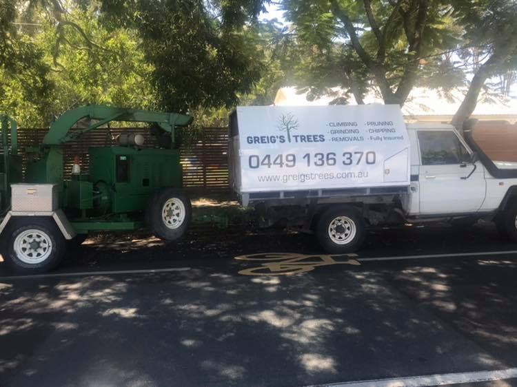Greig's Trees tree services work in Buderim
