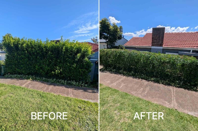 Gringo Yard And Garden Maintenance gardening work in North Lambton