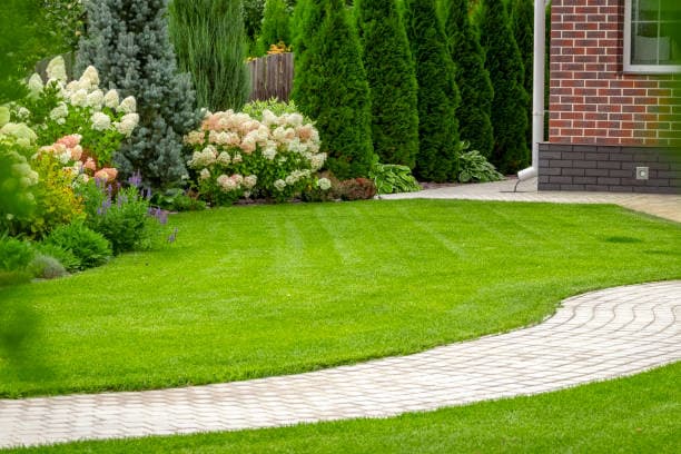 Gringo Yard And Garden Maintenance gardening work in North Lambton