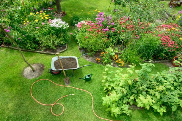Gringo Yard And Garden Maintenance gardening work in North Lambton
