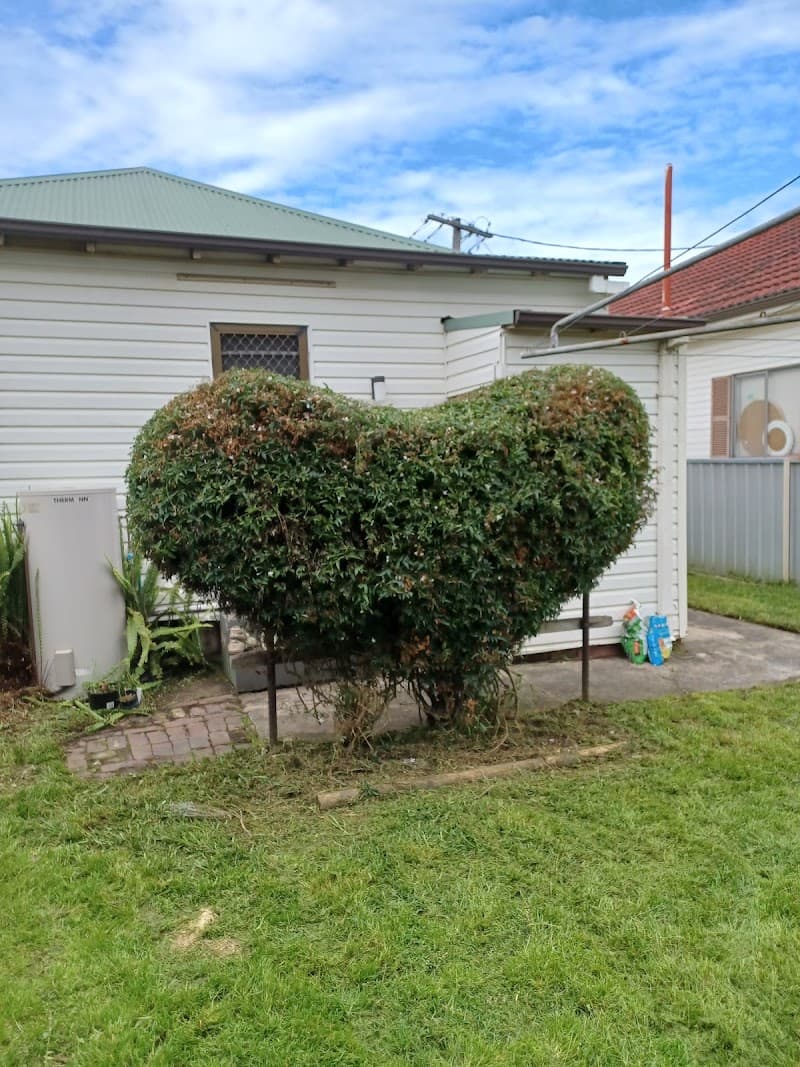 Gringo Yard And Garden Maintenance gardening work in North Lambton