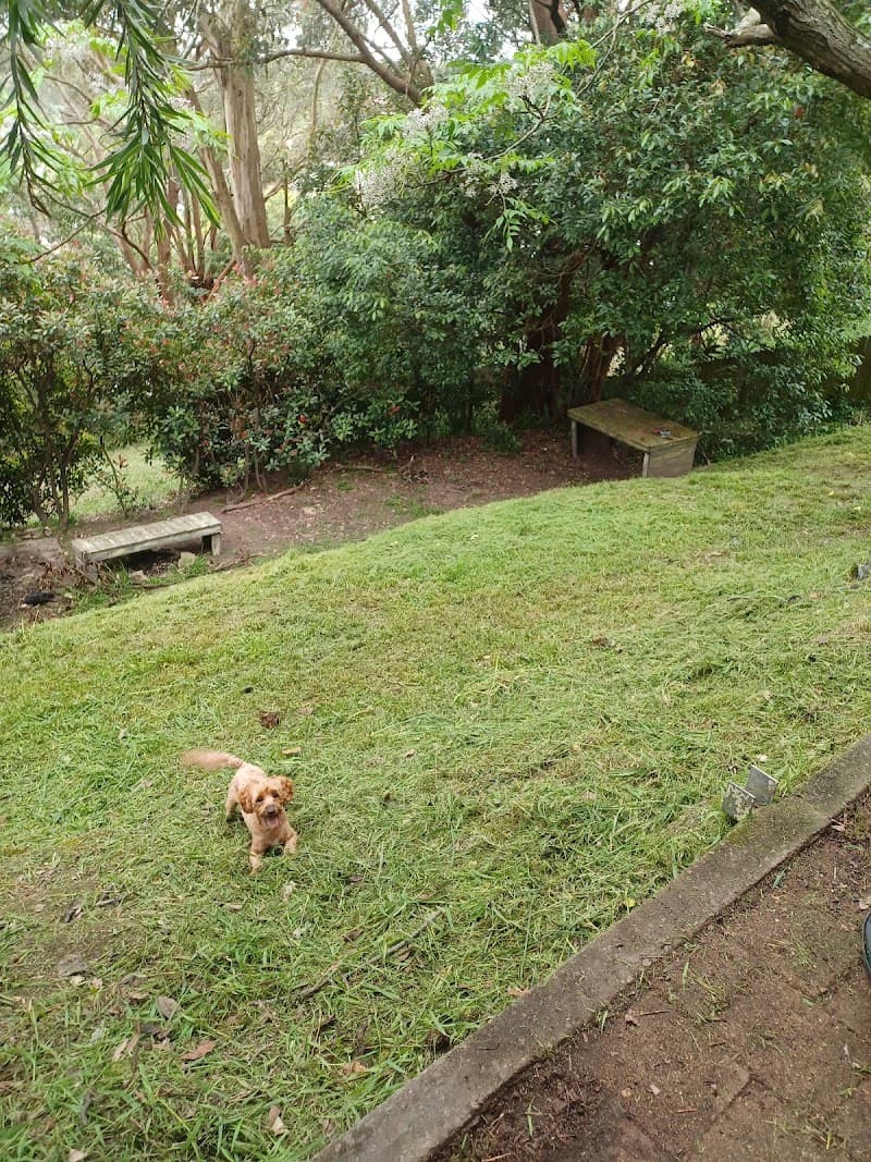 Gringo Yard And Garden Maintenance gardening work in North Lambton