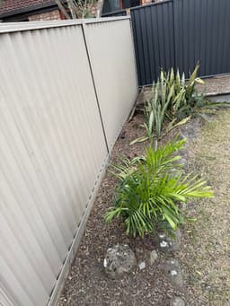 Growth Lawn and Garden