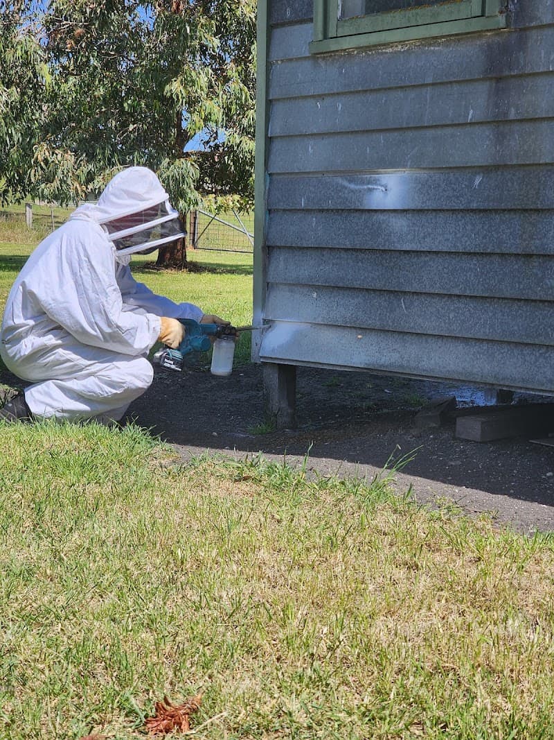 GT Pest Professionals pest control work in Mount Gambier