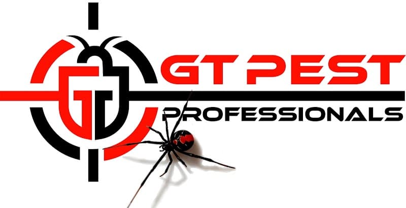 GT Pest Professionals pest control work in Mount Gambier