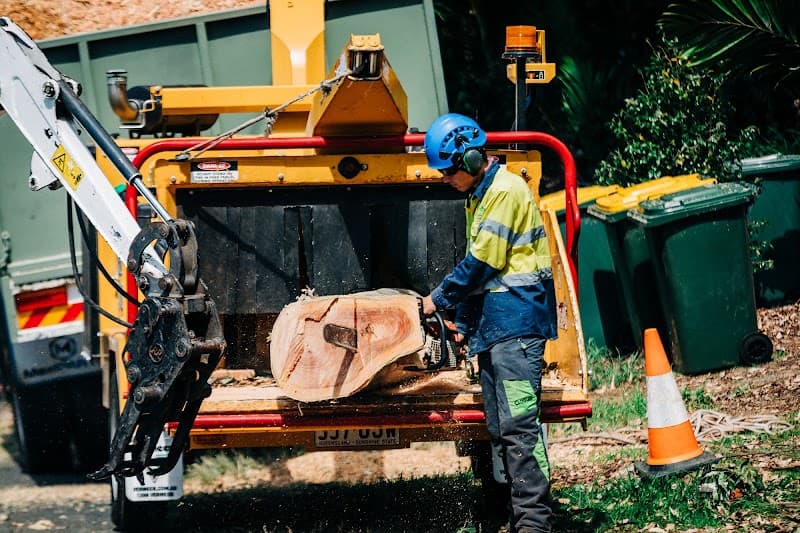 GTS Trees tree services work in Rockville