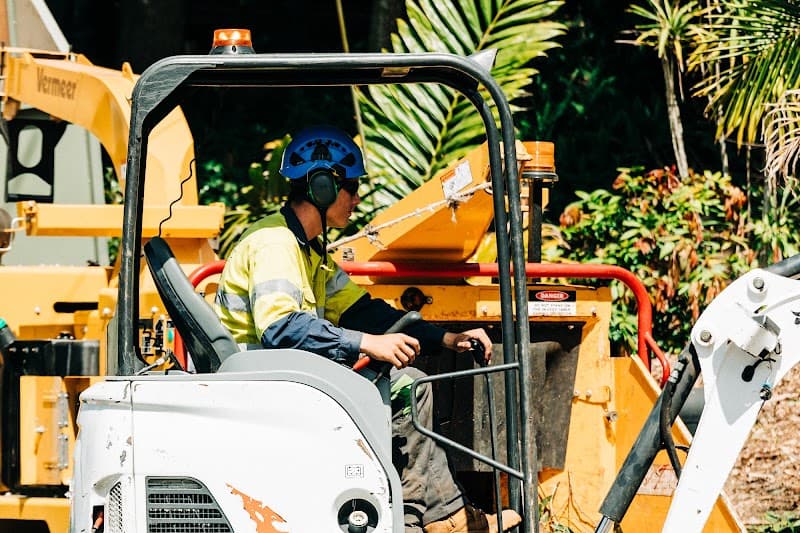 GTS Trees tree services work in Rockville