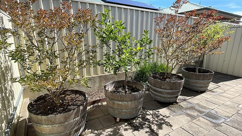 Guaranteed Garden Services gardening work in Magill