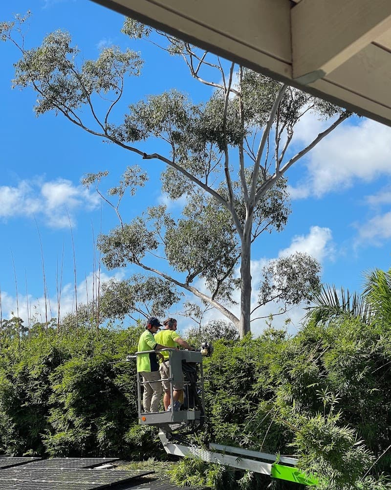 Guardians Garden and Tree Care gardening work in Carbrook
