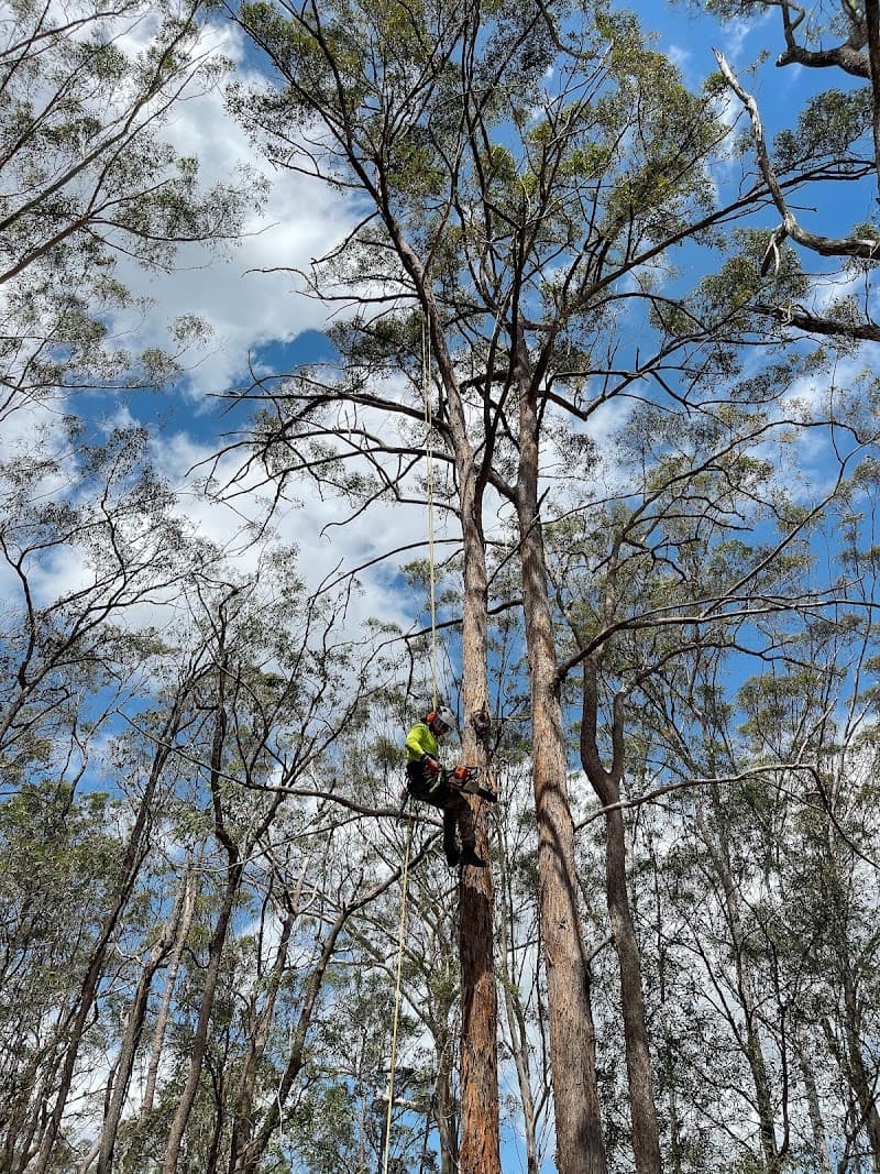 Guardians Garden and Tree Care gardening work in Carbrook