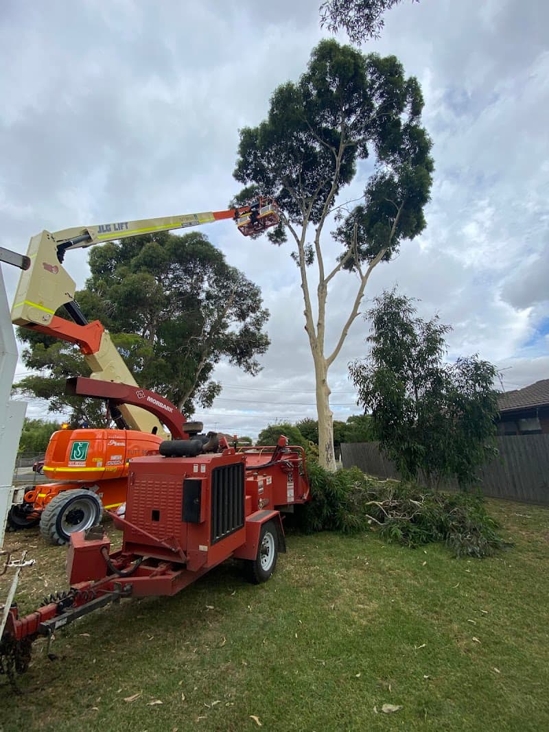 Gums To Roses Tree Care tree services work in Mount Duneed