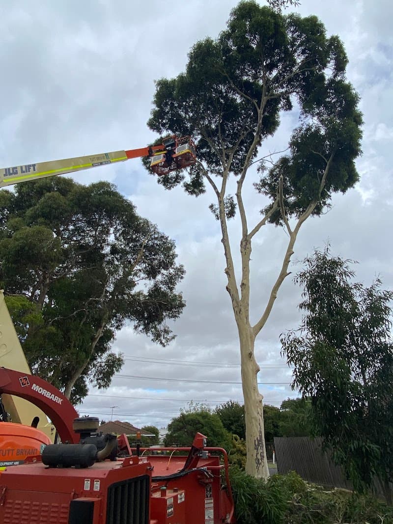 Gums To Roses Tree Care tree services work in Mount Duneed