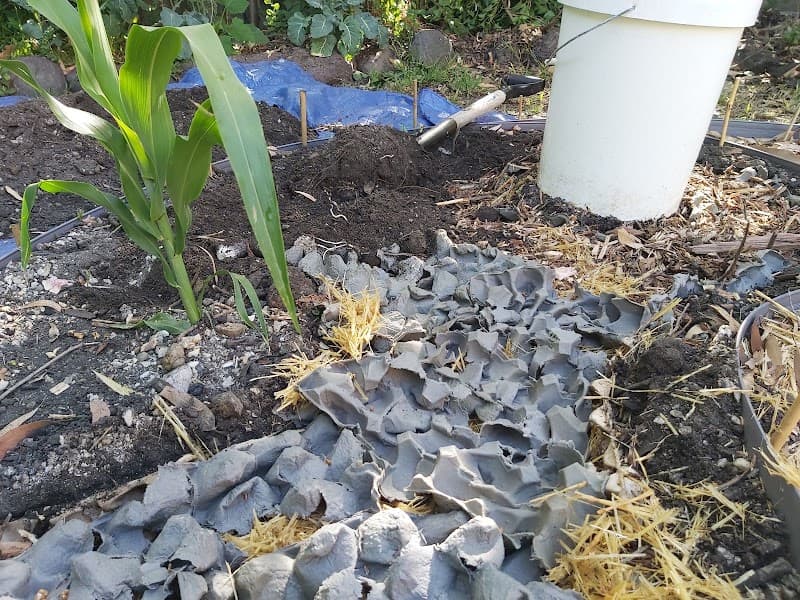 Gung Hoe Gardening landscaping work in Golden Point