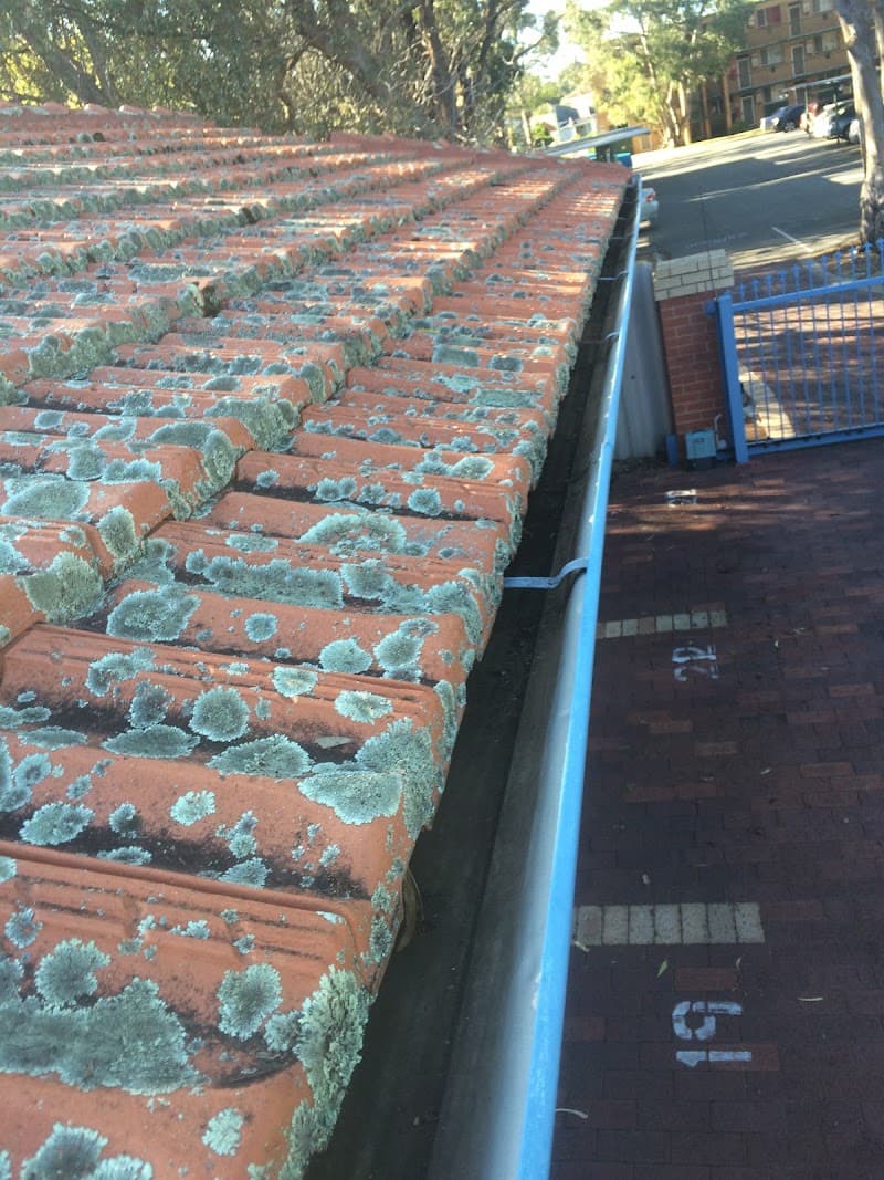 Gutter Clean Extreme gutter cleaning work in Embleton