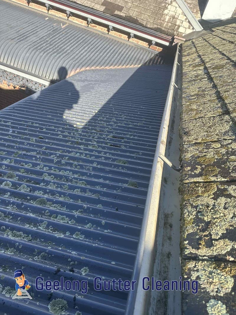 Gutter Cleaning Geelong gutter cleaning work in Geelong
