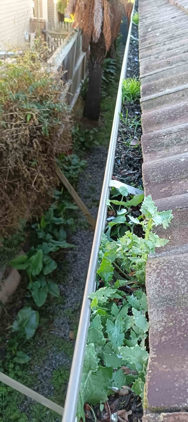 Gutter Cleaning In Melbourne gutter cleaning work in Oakleigh South