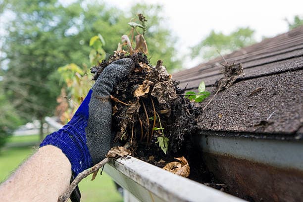 Gutter Cleaning In Melbourne gutter cleaning work in Oakleigh South