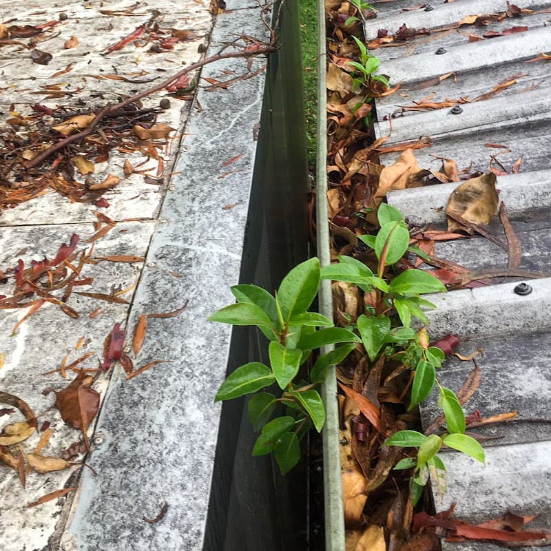 Gutter Get It Clean gutter cleaning work in Slacks Creek