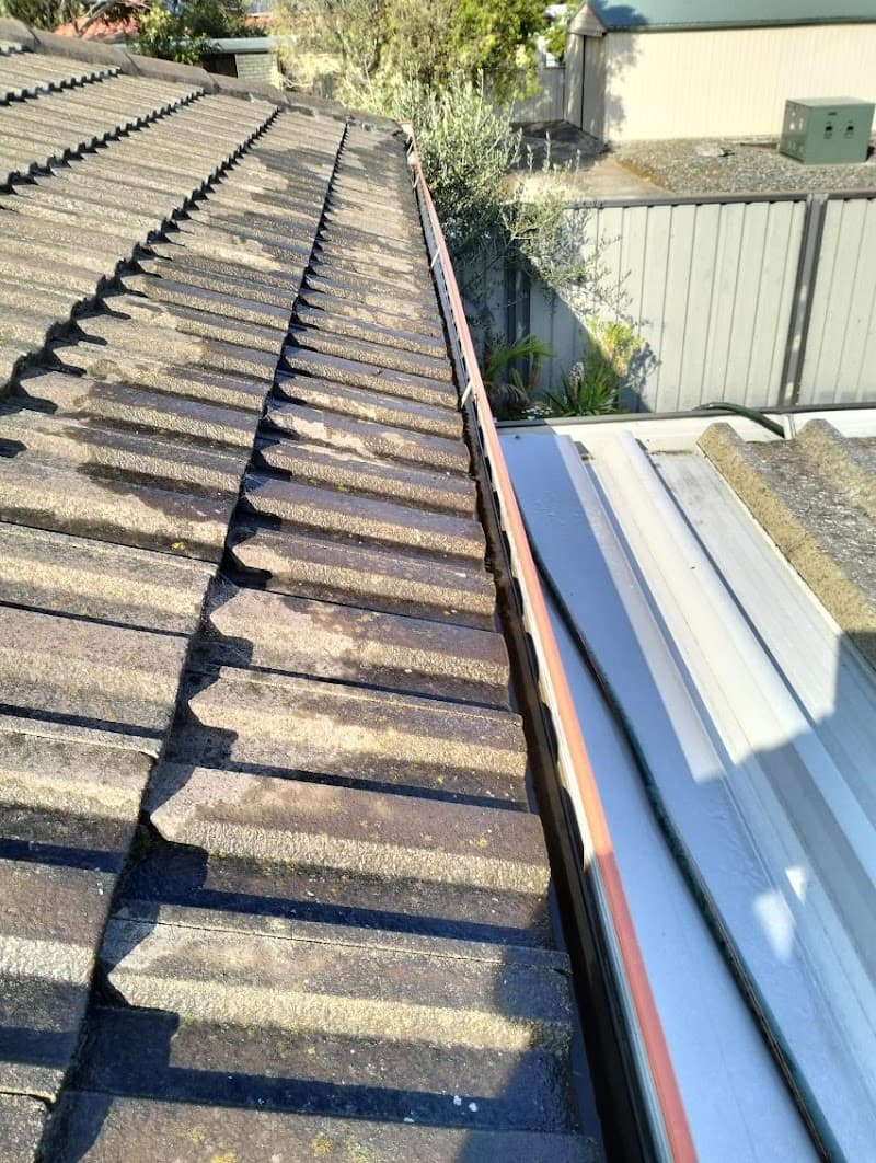 GUTTER GLASS & SOLAR gutter cleaning work in Adelaide