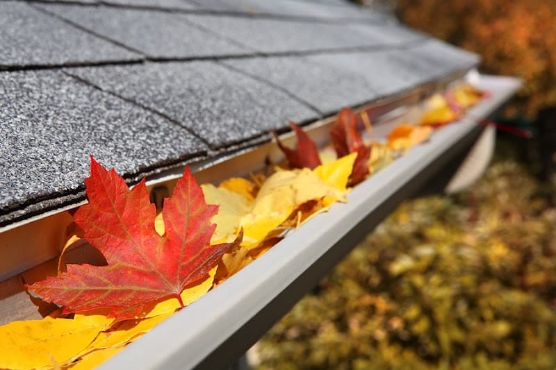GUTTER GLASS & SOLAR gutter cleaning work in Adelaide